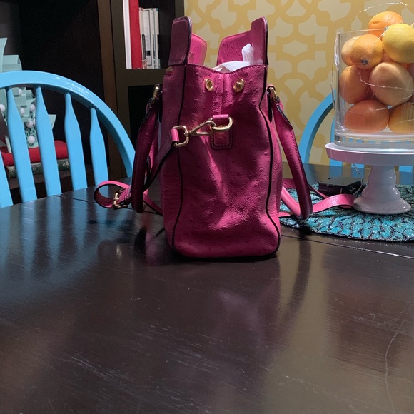 Flamingo - Picture 2 of 2